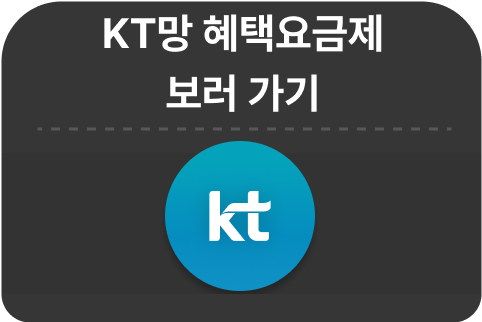 KT망 요금제 보기
